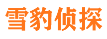 长春外遇调查取证